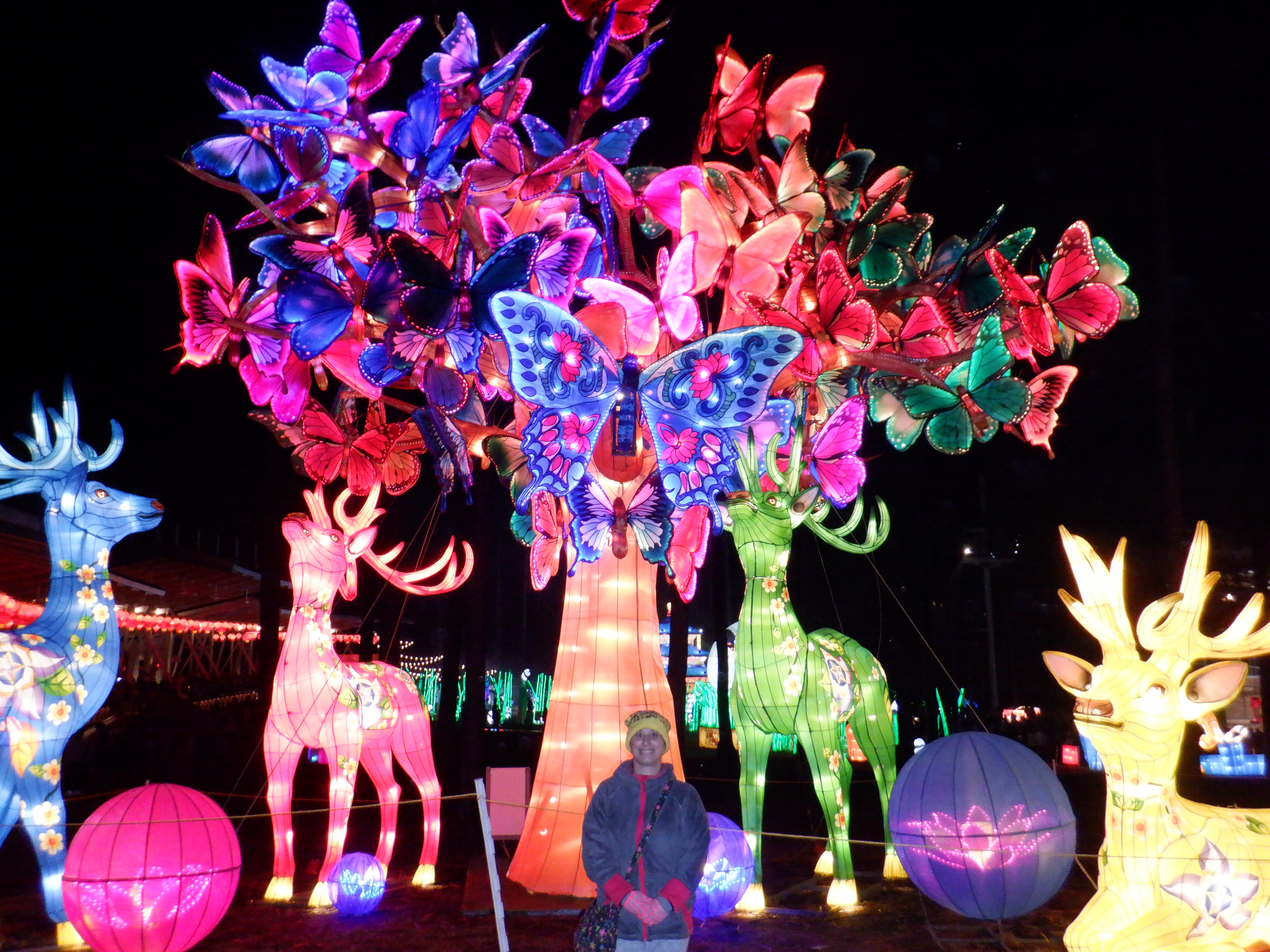./2019/16 - Chinese Lantern Festival/DSCF0757.JPG